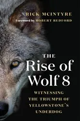 Book cover of The Rise of Wolf 8 by Rick McIntyre