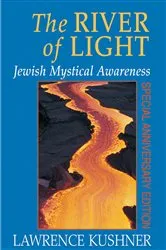 Book cover of The River of Light by Rabbi Lawrence Kushner