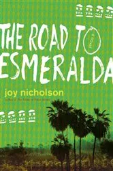 Book cover of The Road to Esmeralda by Joy Nicholson