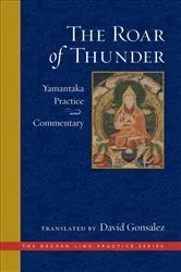 Book cover of The Roar of Thunder by David Gonsalez