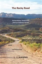 Book cover of The Rocky Road by LJ Hanna
