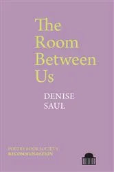 Book cover of The Room Between Us by Denise Saul