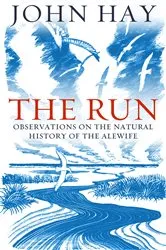 Book cover of The Run by Unknown