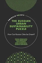 Book cover of The Russian Urban Sustainability Puzzle by Polina Ermolaeva