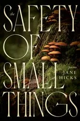 Book cover of The Safety of Small Things by Jane Hicks