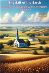 Book cover of The Salt of the Earth: A History of Norwegian-Danish Methodism in America by Unknown
