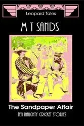 Book cover of The Sandpaper Affair by Sedley Proctor