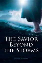 Book cover of The Savior Beyond the Storms by Stephen Selestino
