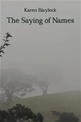 Book cover of The Saying of Names by Karen Blaylock