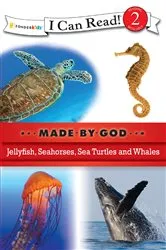 Book cover of The Search to Belong by Joseph R. Myers