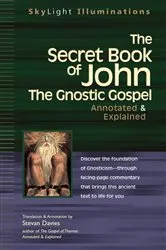 Book cover of The Secret Book of John by Stevan Davies