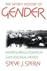 Book cover of The Secret History of Gender by Steve J. Stern