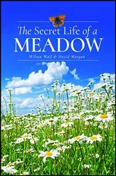 Book cover of The Secret Life of a Meadow by Wilson Wall