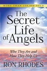 Book cover of The Secret Life of Angels by Ron Rhodes