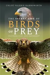 Book cover of The Secret Life of Birds of Prey by Chloé Valerie Harmsworth