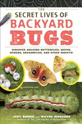 Book cover of The Secret Lives of Backyard Bugs by Judy Burris