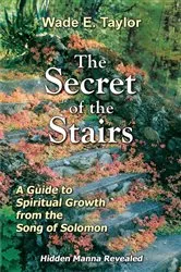 Book cover of The Secret of the Stairs by Wade E. Taylor
