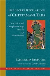 Book cover of The Secret Revelations of Chittamani Tara by David Gonsalez