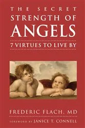 Book cover of The Secret Strength of Angels by Unknown