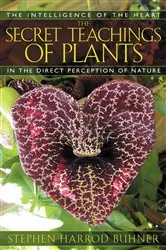 Book cover of The Secret Teachings of Plants by Stephen Harrod Buhner