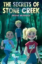 Book cover of The Secrets of Stone Creek by Briana McDonald