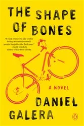 Book cover of The Shape of Bones by Daniel Galera