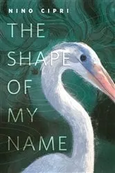 Book cover of The Shape of My Name by Nino Cipri