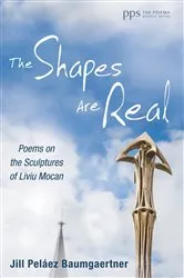 Book cover of The Shapes Are Real by Jill Peláez Baumgaertner