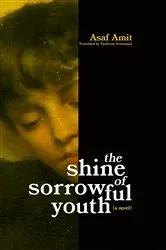 Book cover of The shine of sorrowful youth by Unknown