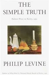 Book cover of The Simple Truth by David Baldacci