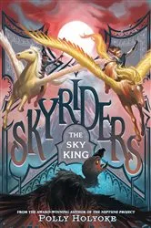 Book cover of The Sky King by Polly Holyoke