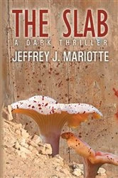 Book cover of The Slab by Jeffrey J. Mariotte