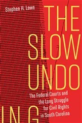 Book cover of The Slow Undoing by Stephen H. Lowe