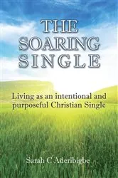 Book cover of The Soaring Single by Sarah Aderibigbe