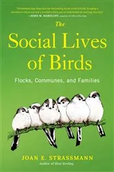 Book cover of The Social Lives of Birds by Joan E. Strassmann