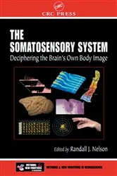 Book cover of The Somatosensory System by Randall J. Nelson