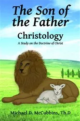 Book cover of The Son of the Father by McCubbins, Michael, D.