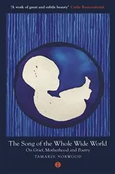 Book cover of The Song of the Whole Wide World by Tamarin Norwood