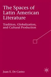 Book cover of The Spaces of Latin American Literature by Kenneth A. Loparo