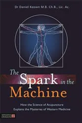 Book cover of The Spark in the Machine by Daniel Keown