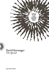 Book cover of The Special by David Stavanger