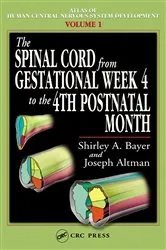 Book cover of The Spinal Cord from Gestational Week 4 to the 4th Postnatal Month by Shirley A. Bayer