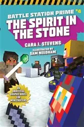 Book cover of The Spirit in the Stone by Cara J. Stevens