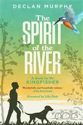 Book cover of The Spirit of the River by Declan Murphy