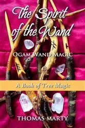 Book cover of The Spirit of the Wand by Thomas Marty
