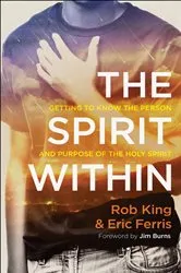 Book cover of The Spirit Within by Rob King