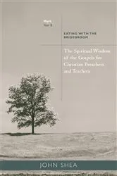 Book cover of The Spiritual Wisdom of Gospels for Christian Preachers and Teachers by John Shea
