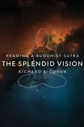 Book cover of The Splendid Vision by Richard Cohen