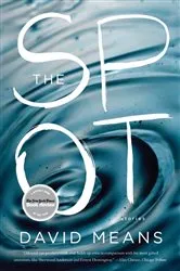 Book cover of The Spot by David Means