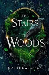 Book cover of The Stairs in the Woods by Matthew Cesca